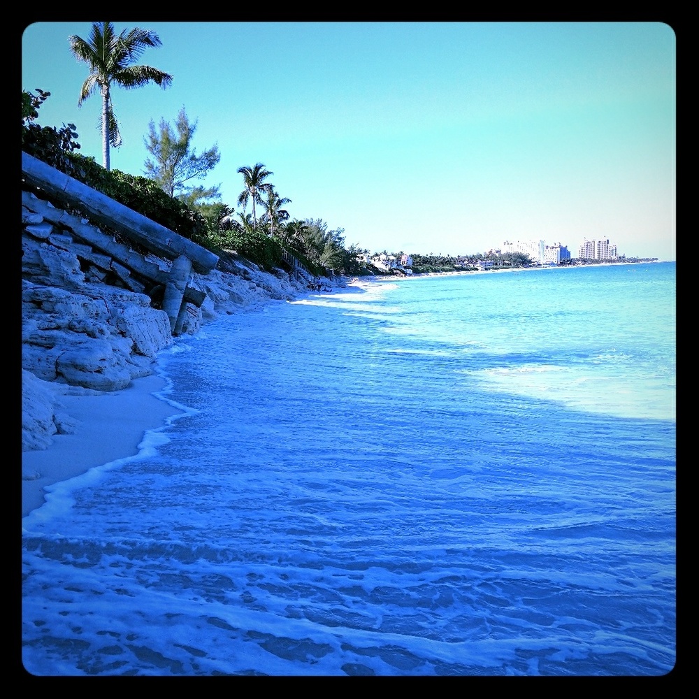 Meet your Posher, Kacie